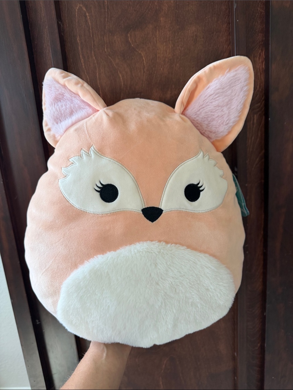 Squishmallow Fennec Fox